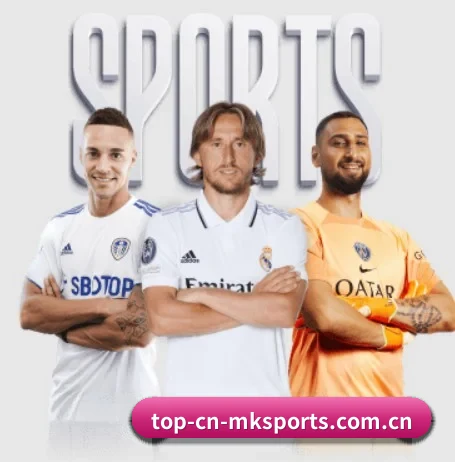 mk体育 APP