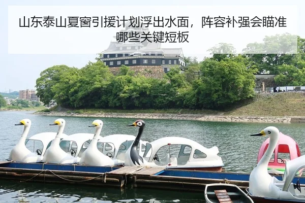 山东泰山夏窗引援计划浮出水面，阵容补强会瞄准哪些关键短板